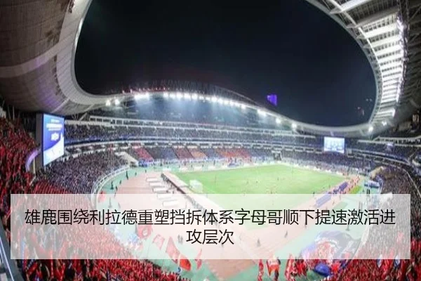 雄鹿围绕利拉德重塑挡拆体系字母哥顺下提速激活进攻层次